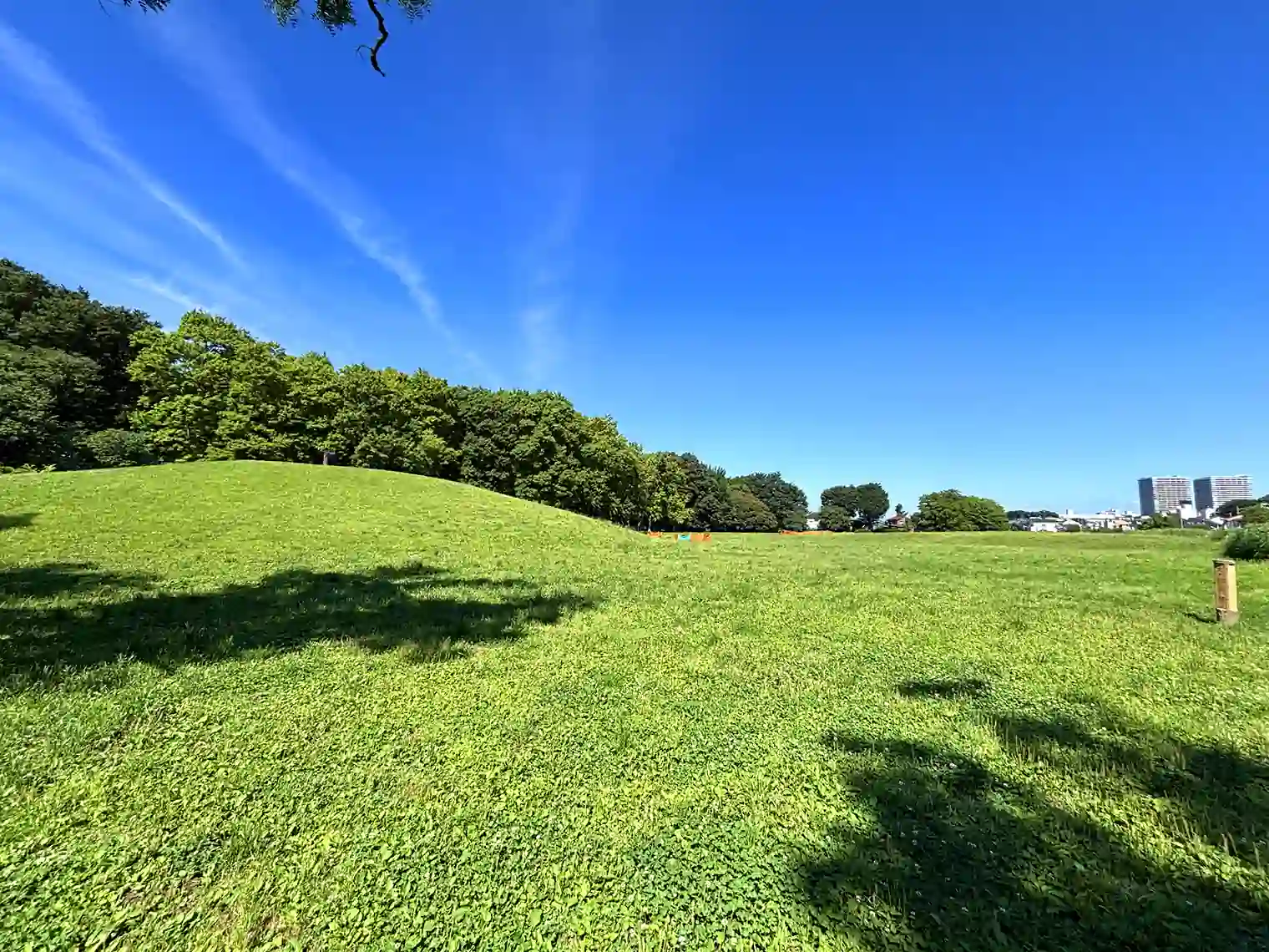 くじら山