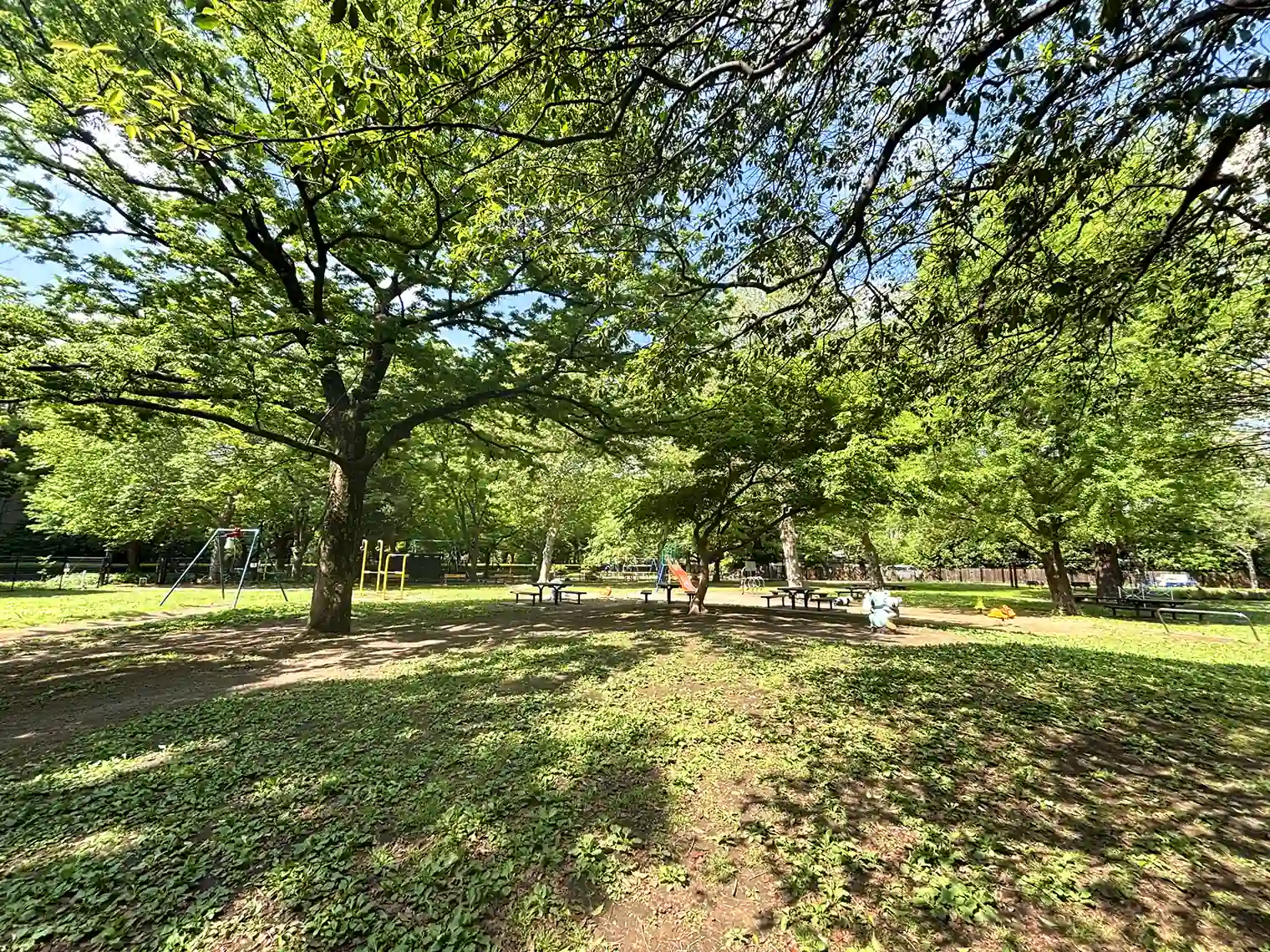 草地広場