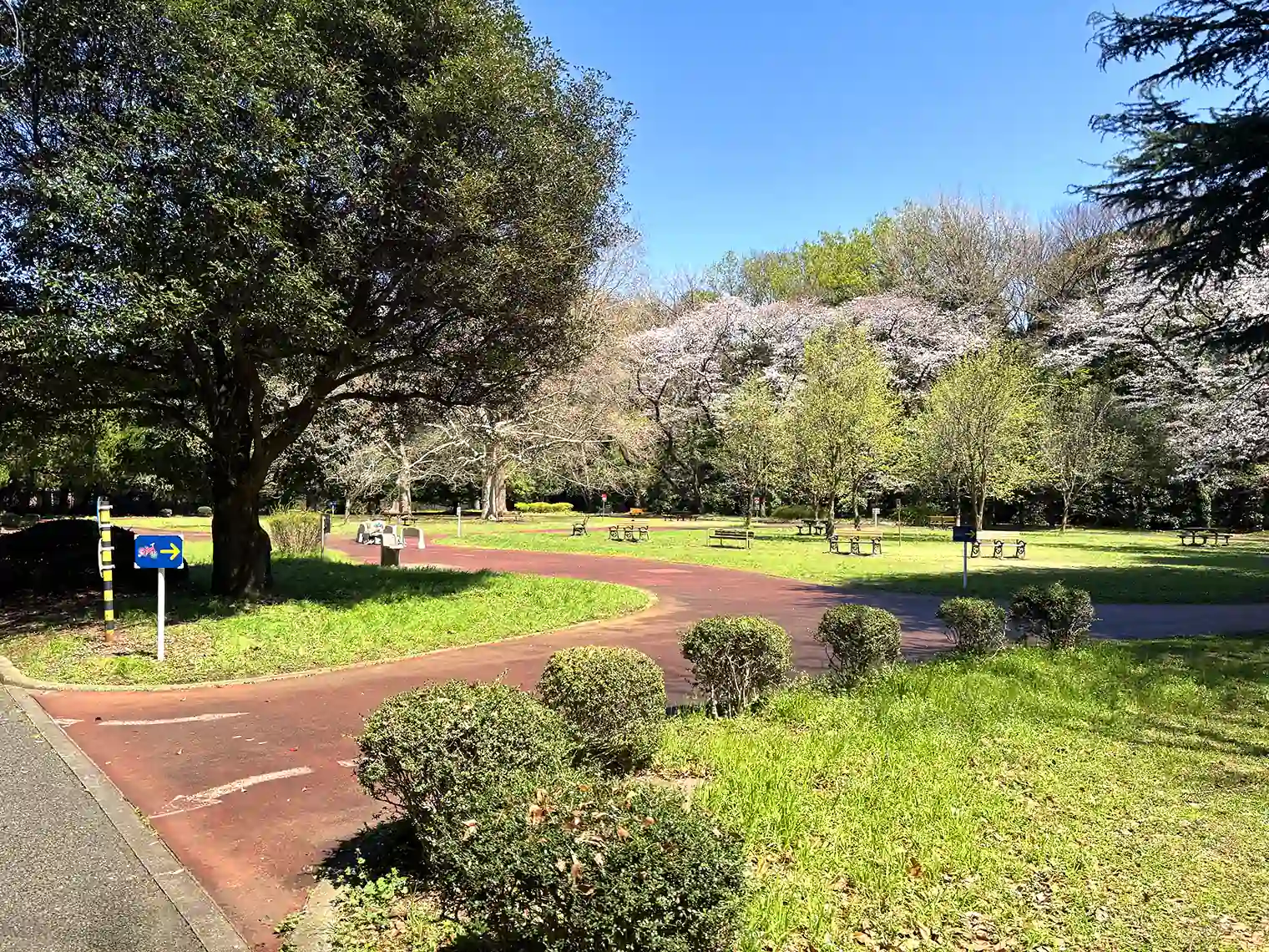 幼児用サイクリング広場
