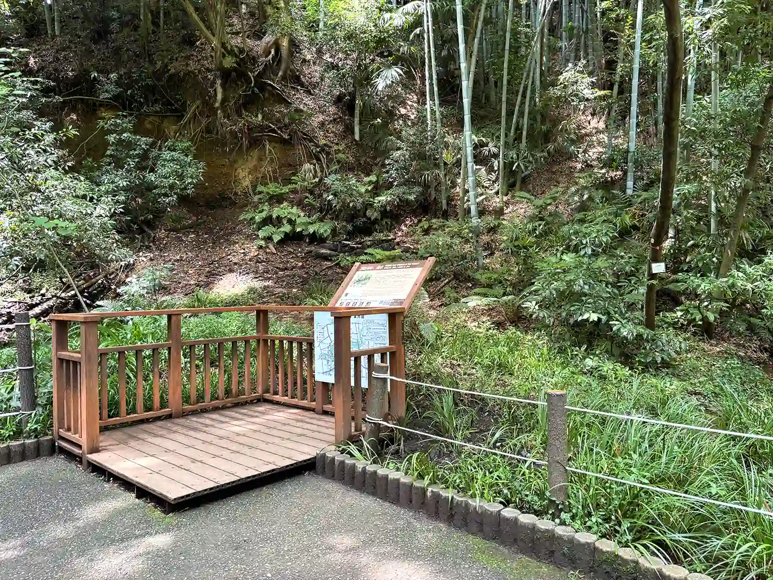 渓谷の水、湧水