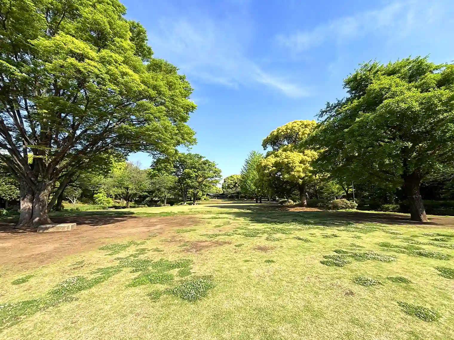 池の横の広場
