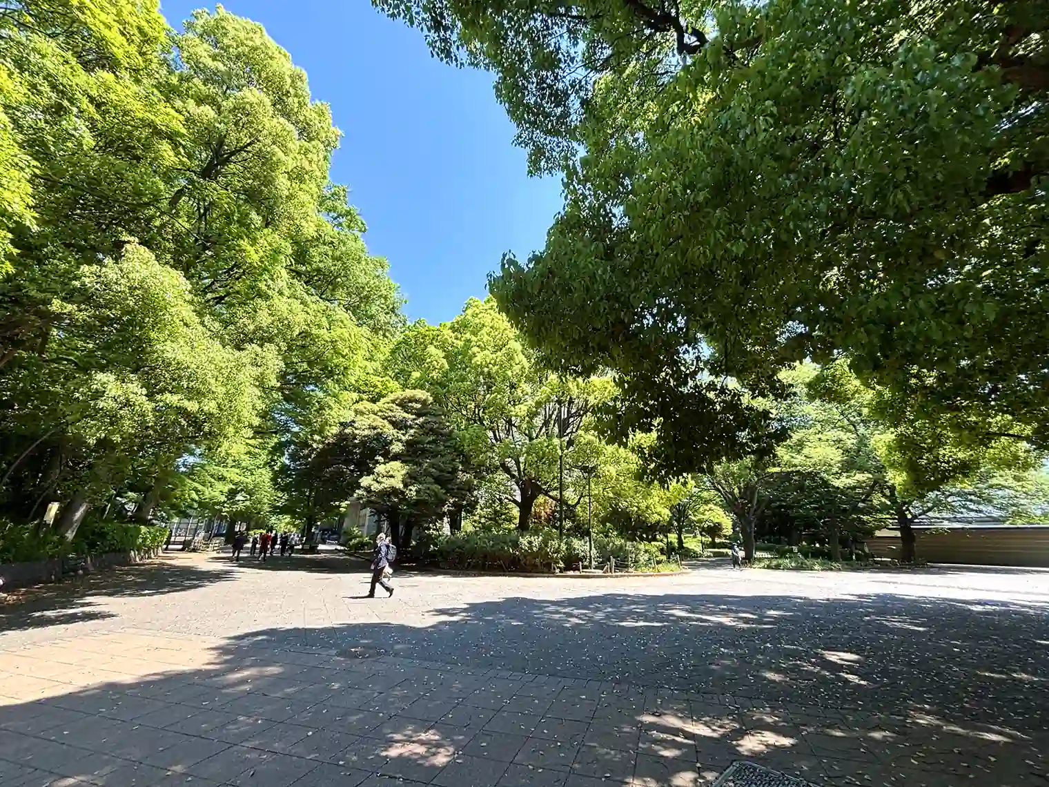 遊歩道