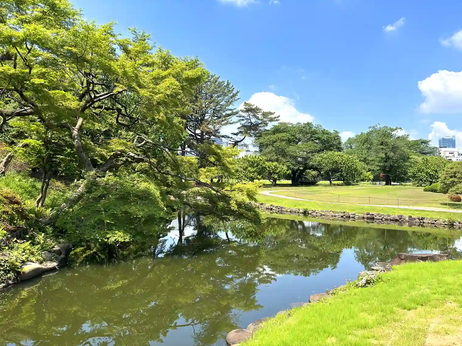 中の池（南エリア）