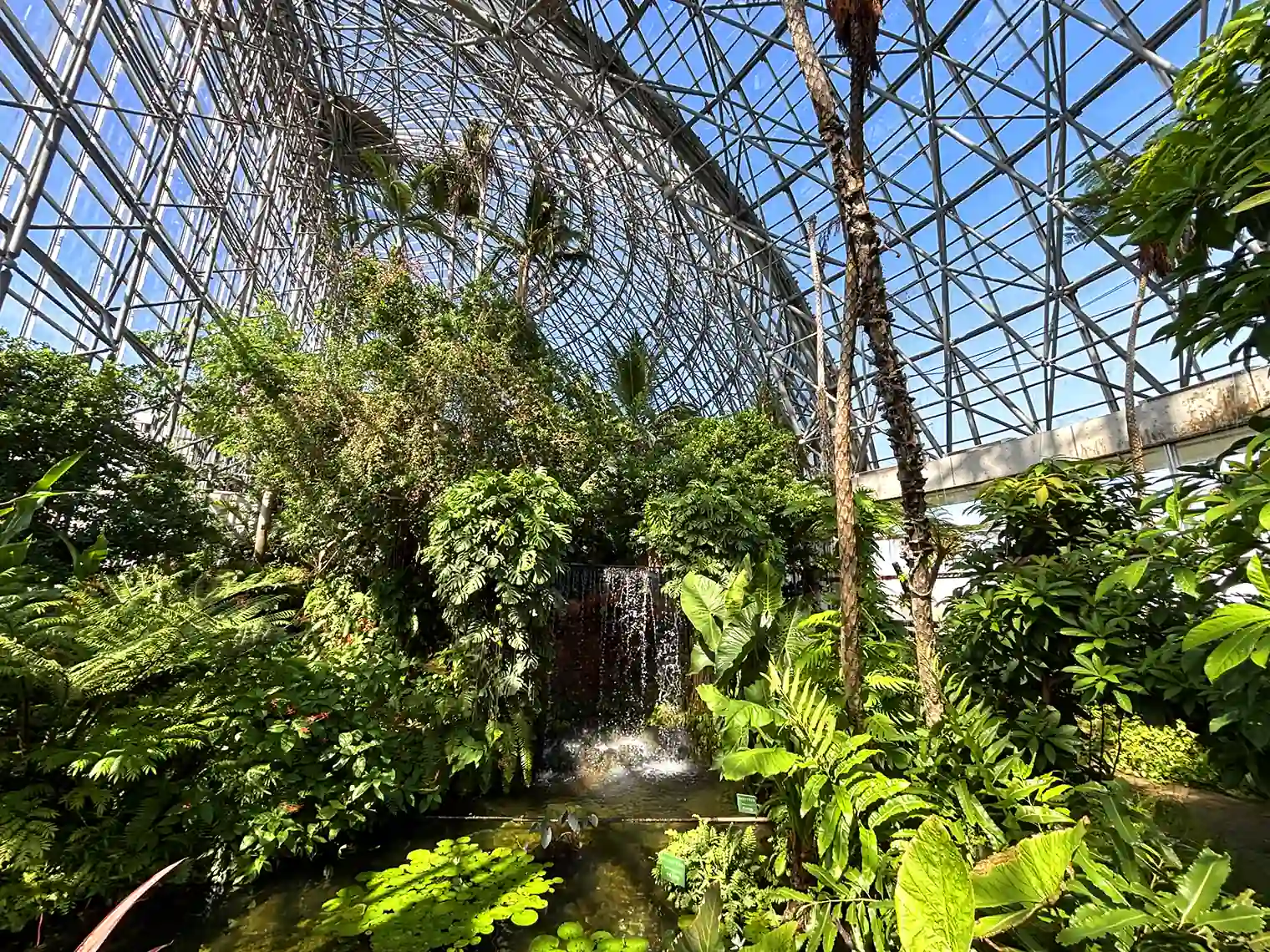 夢の島熱帯植物館内