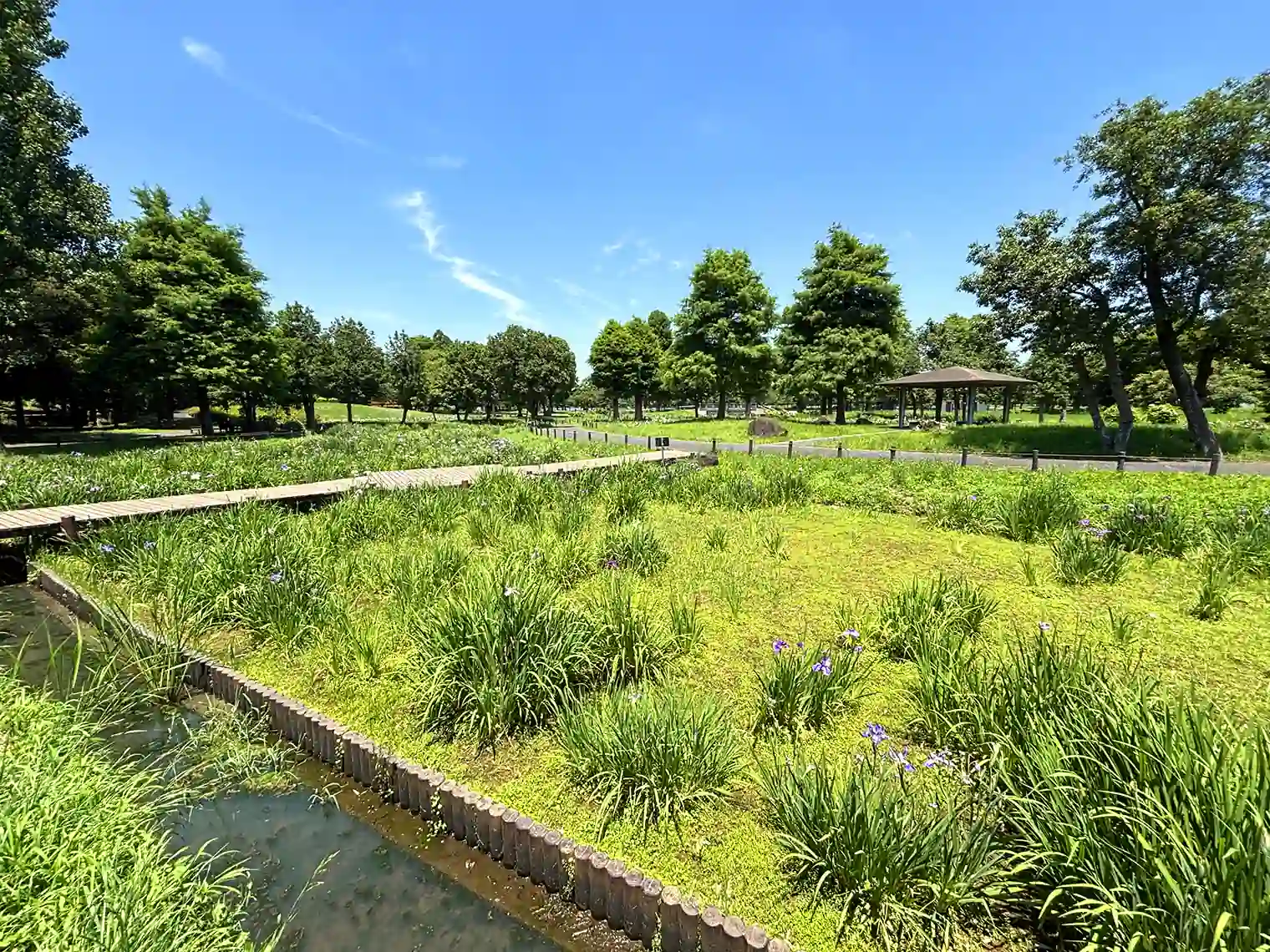のどかな雰囲気♪