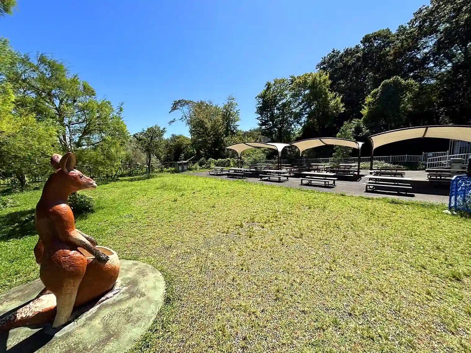 カンガルー広場