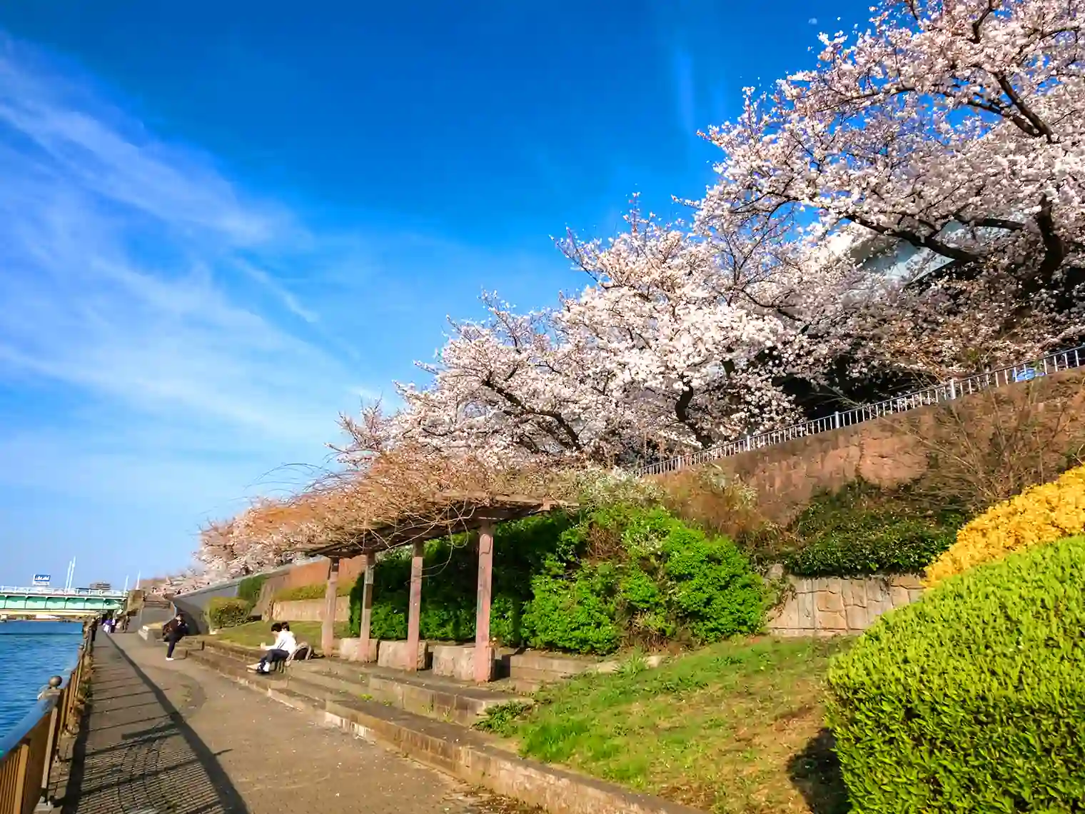 隅田公園（リバーサイド）［PIXTA画像］