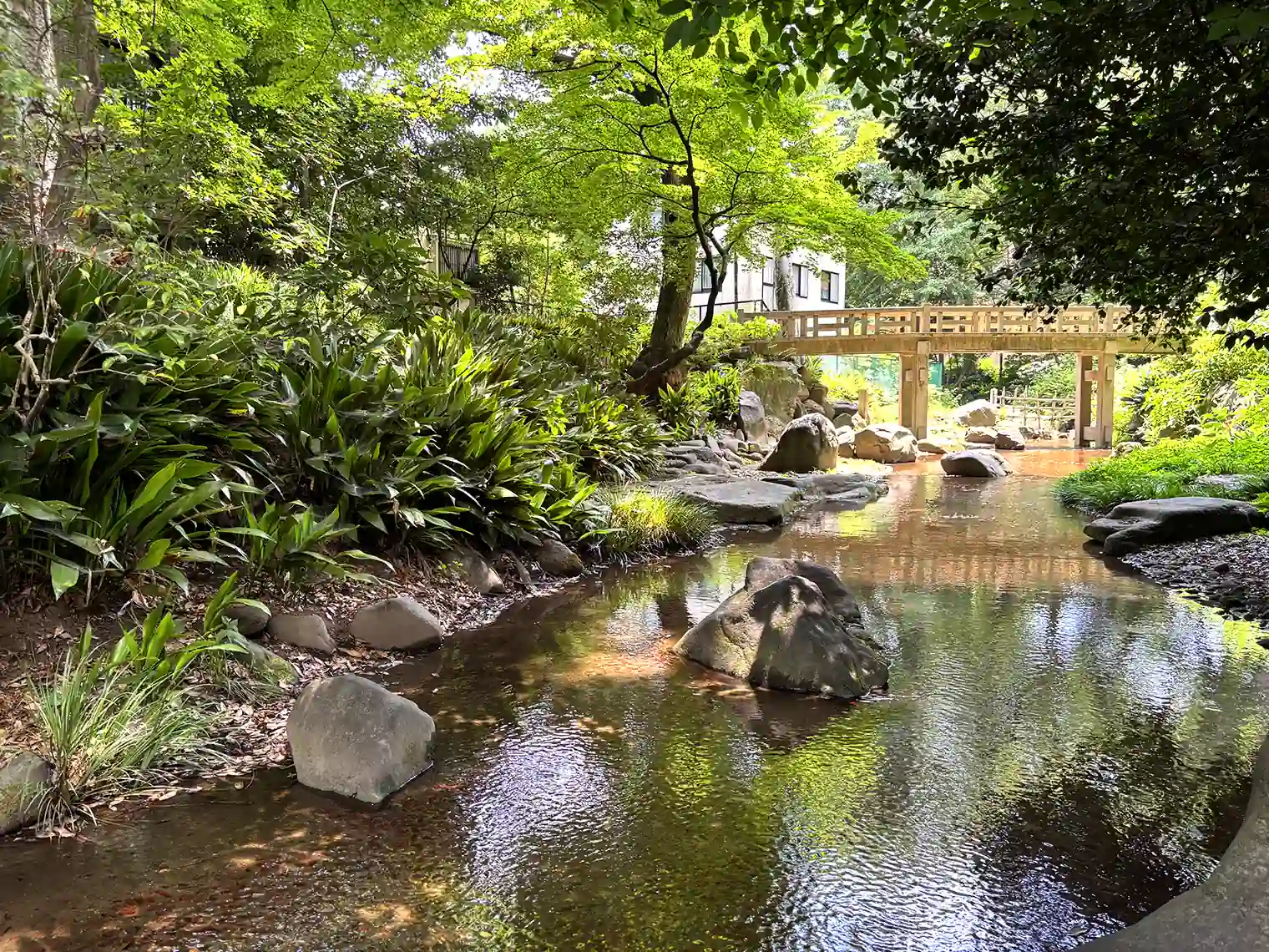 渓流と擬石橋