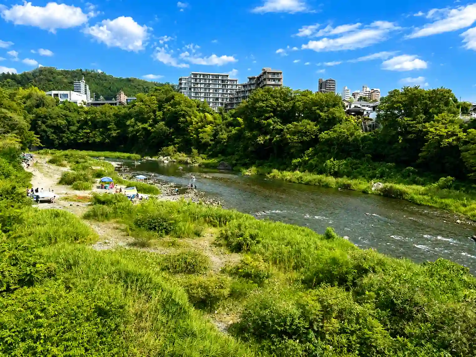 鮎美橋から見る多摩川