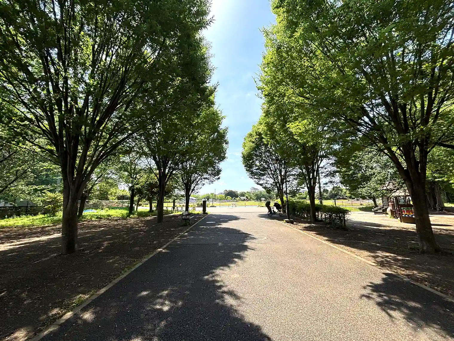 和田堀公園第二競技場へ向かう遊歩道