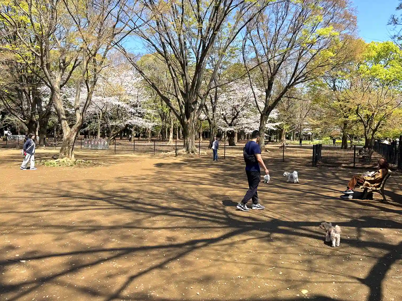 ドッグラン（中央広場）