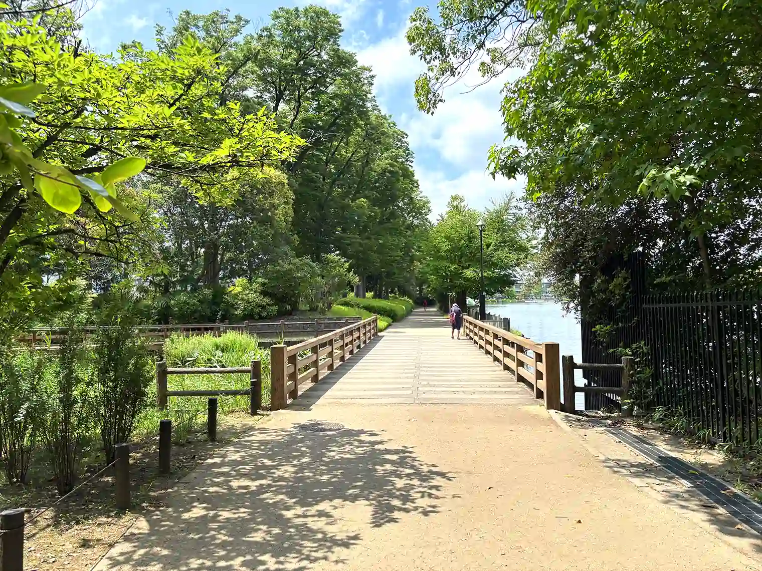 公園橋