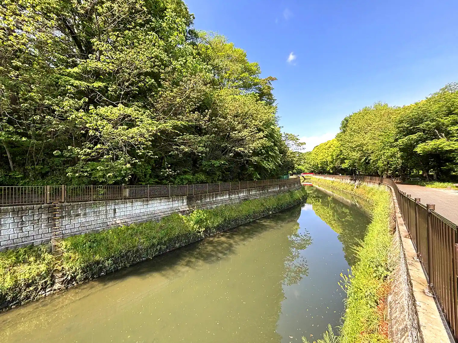 善福寺川
