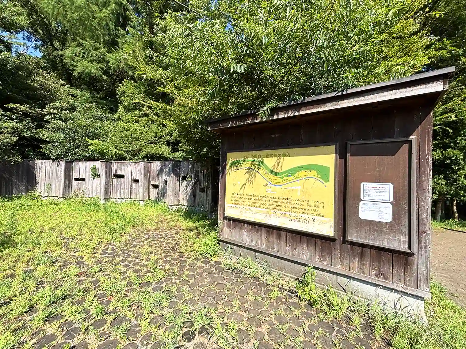 野鳥観察窓