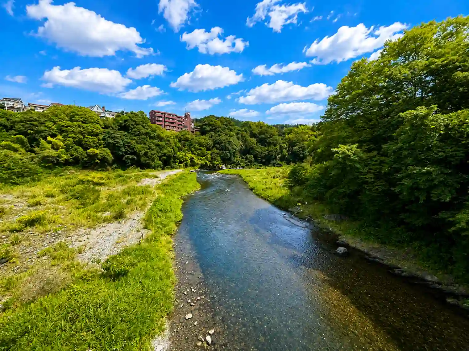 柳淵橋から見る多摩川