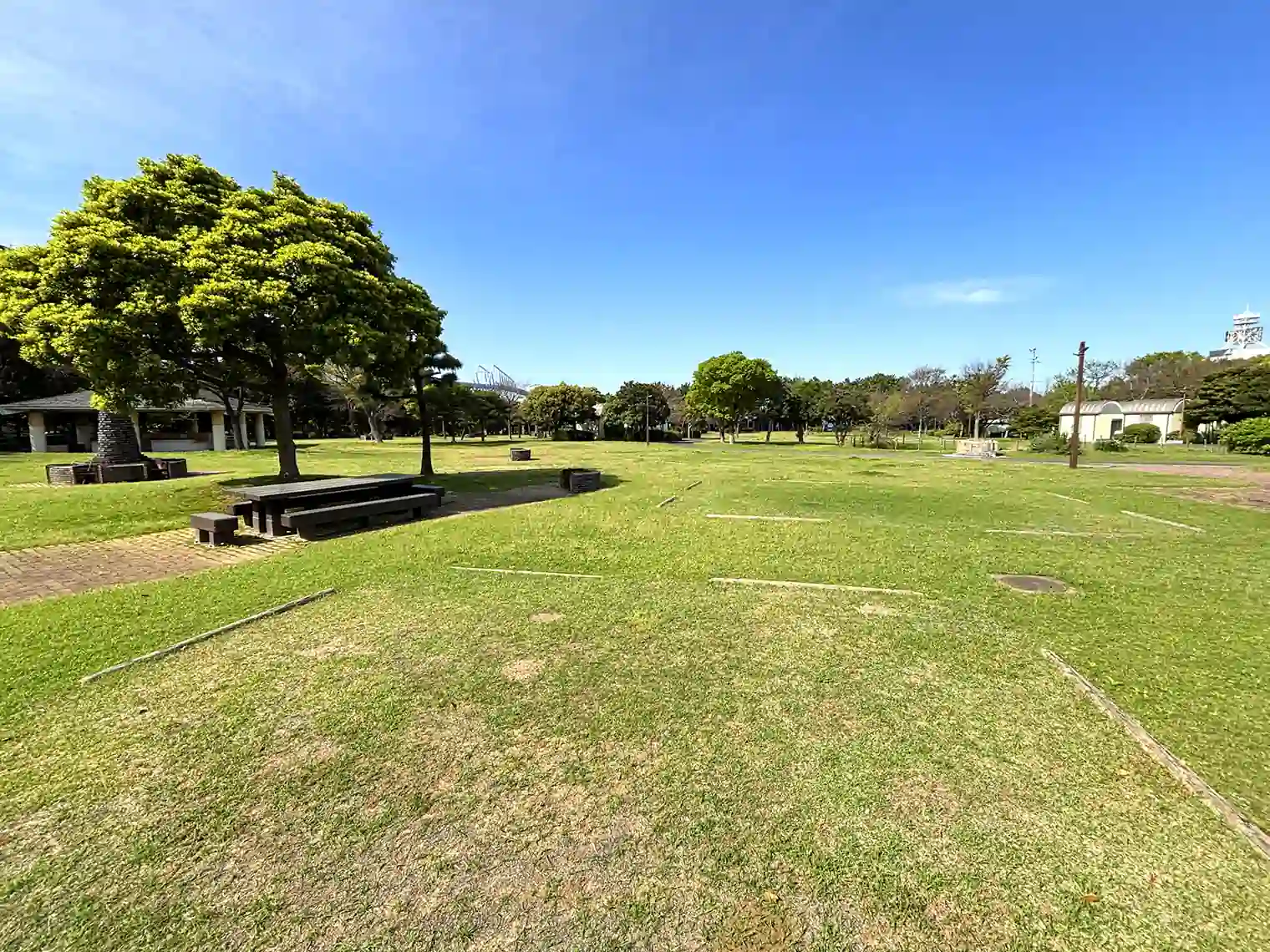 キャンプ場（若洲公園）