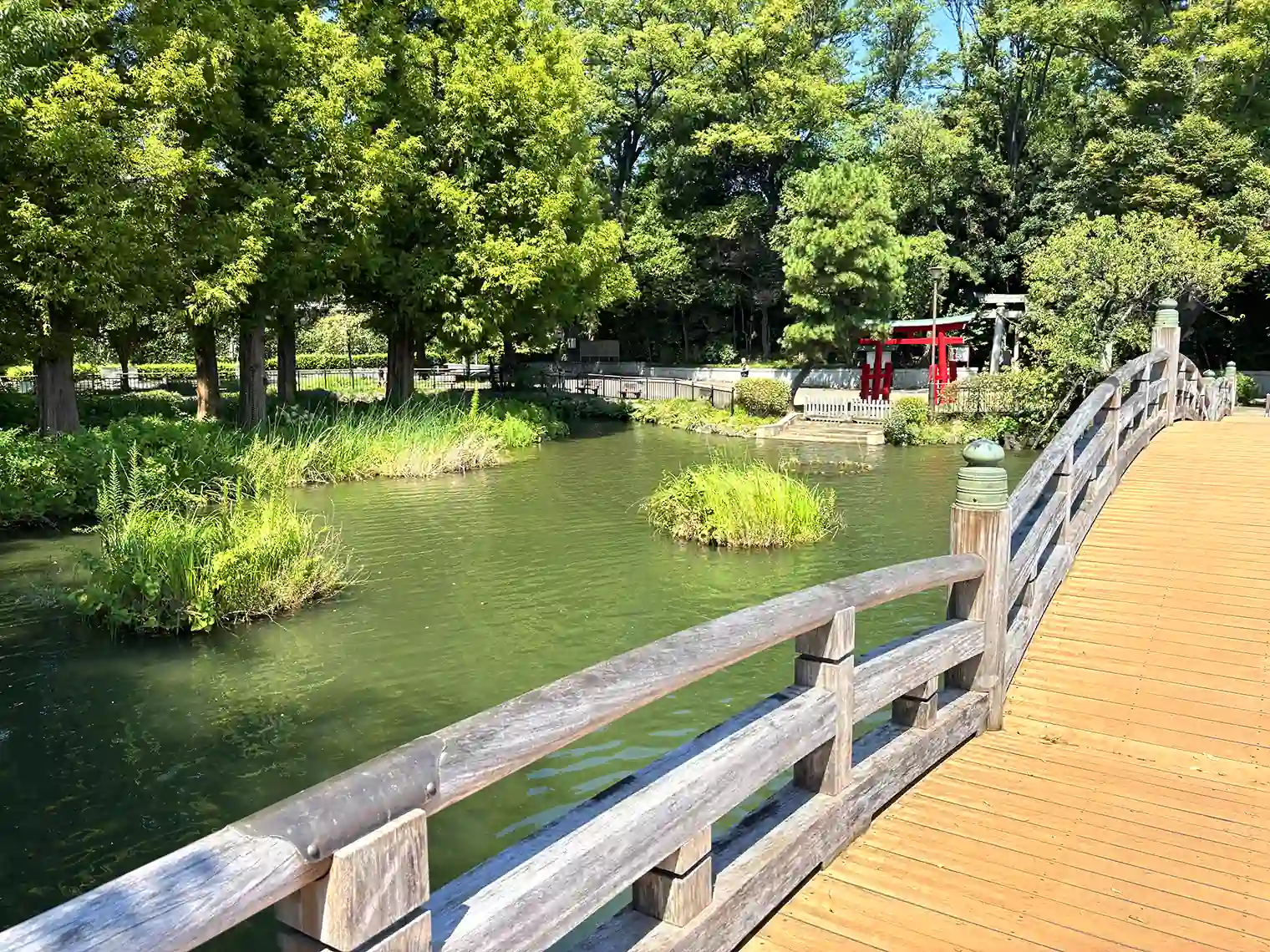 池月橋からの眺望