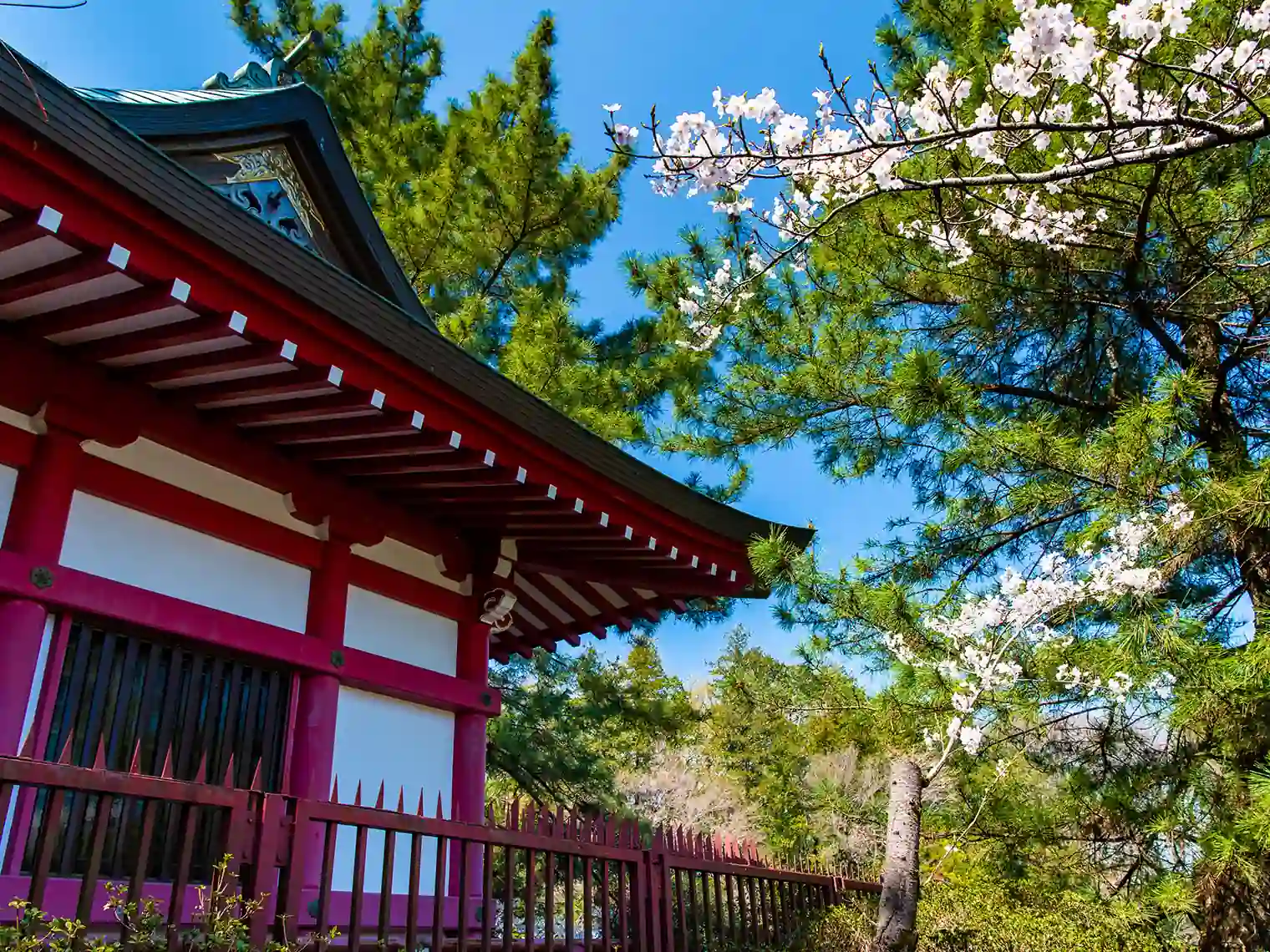 厳島神社［PIXTA画像］