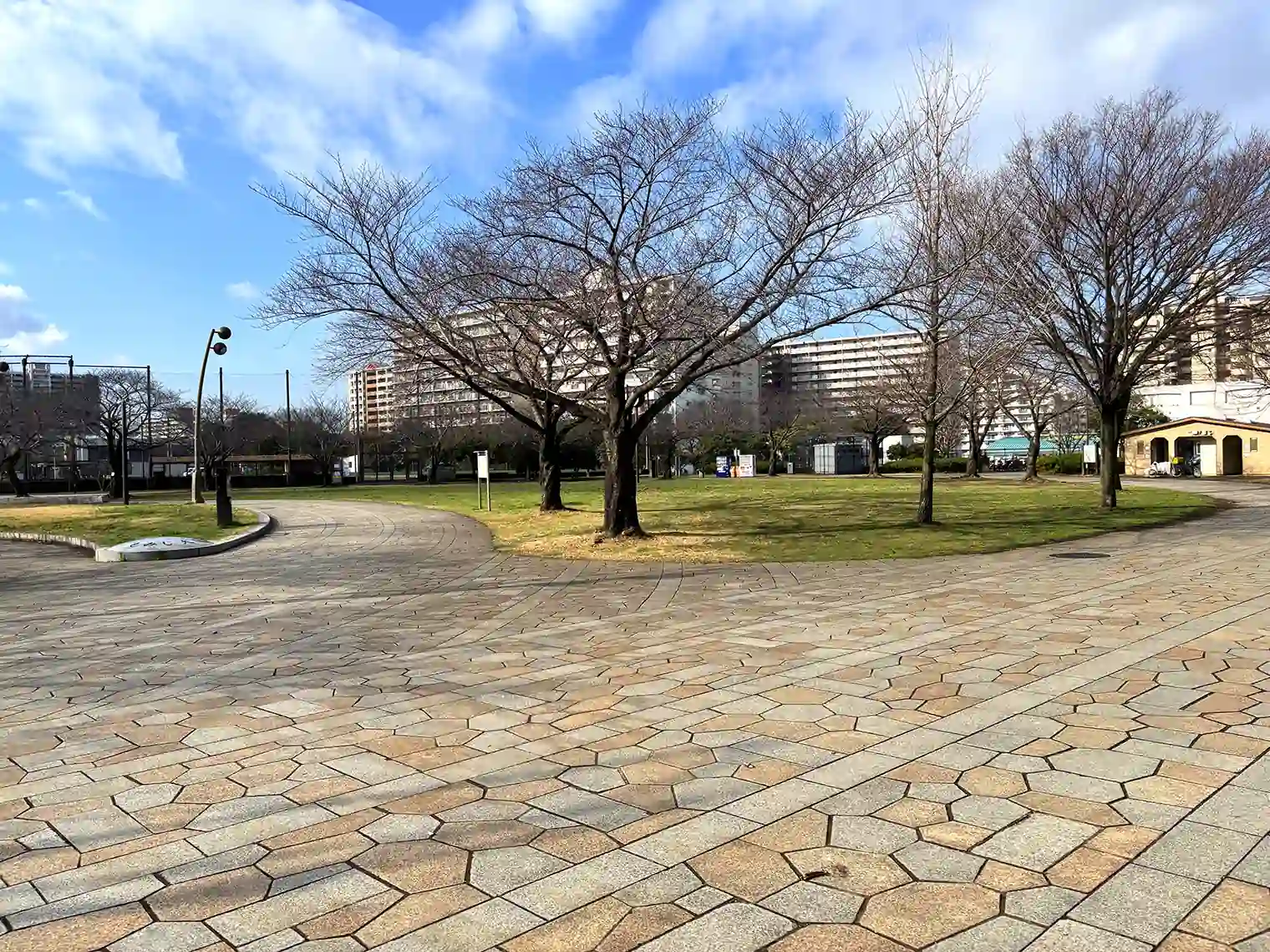 遊歩道（スポーツ公園エリア）