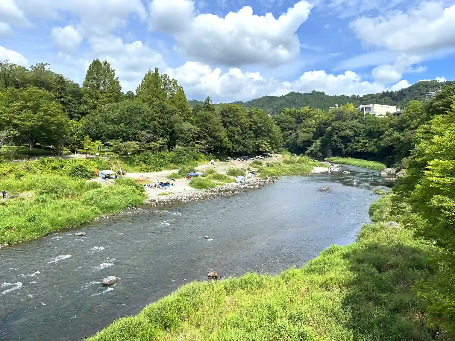 鮎美橋から見る多摩川