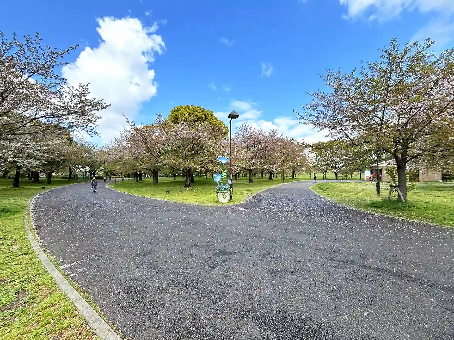 遊歩道（B地区）