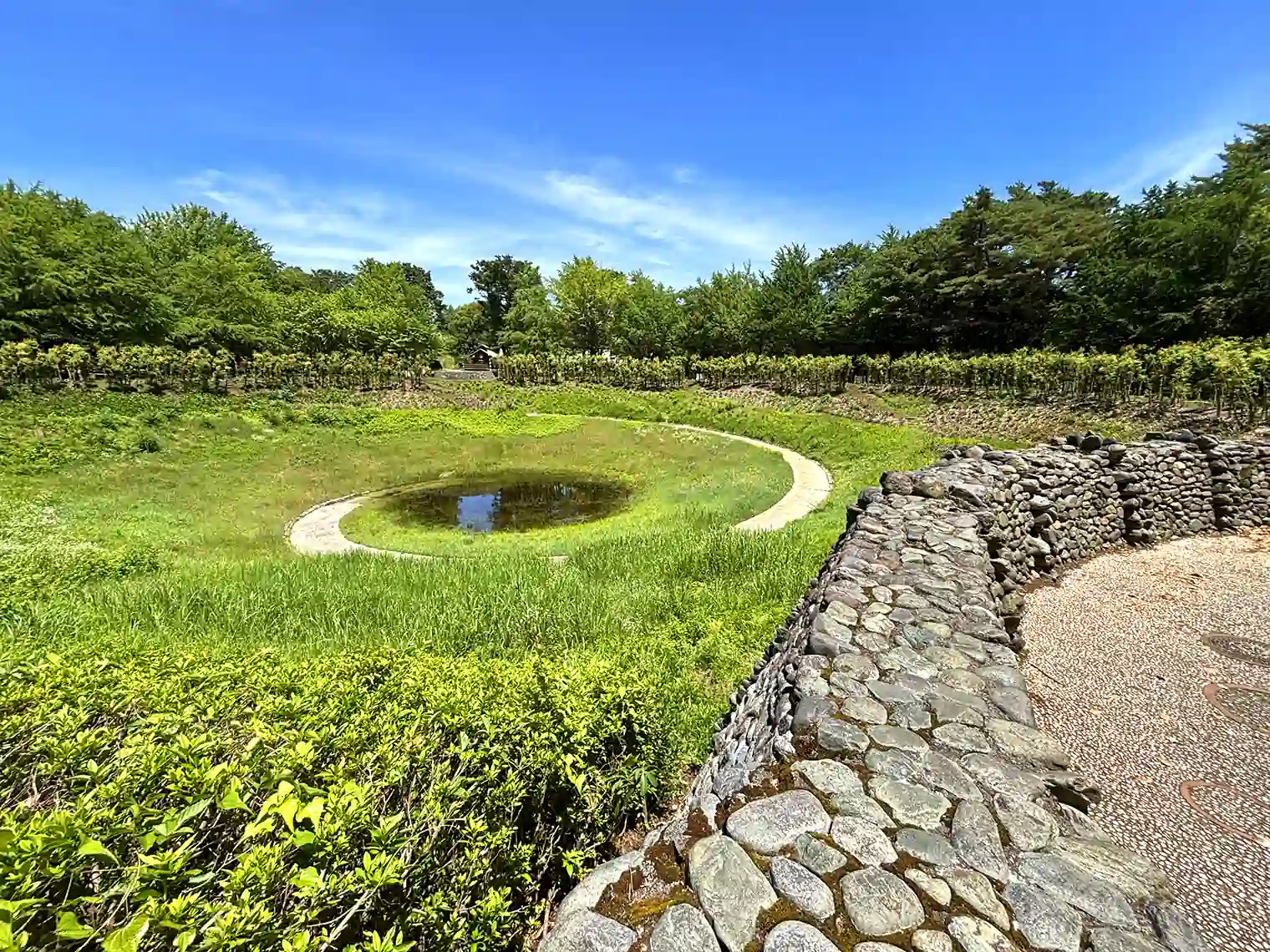 地底の泉（こどもの森）
