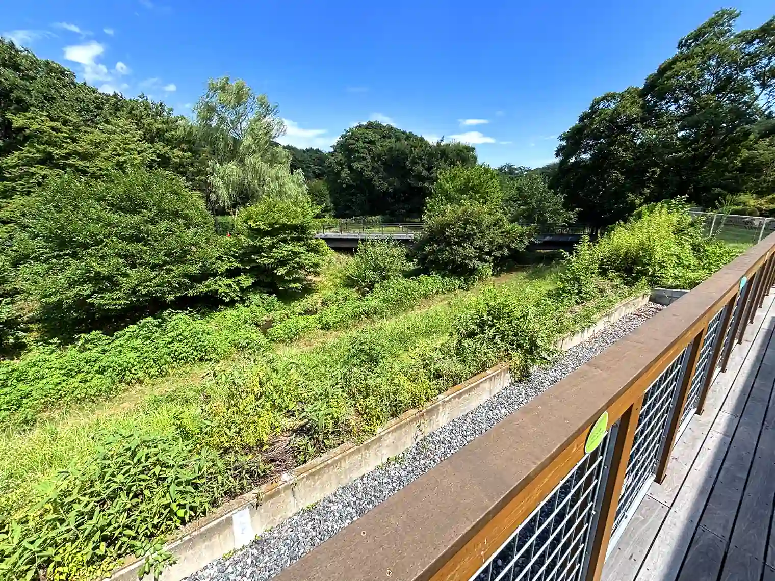 ウッドバルコニーから見る自然観察園