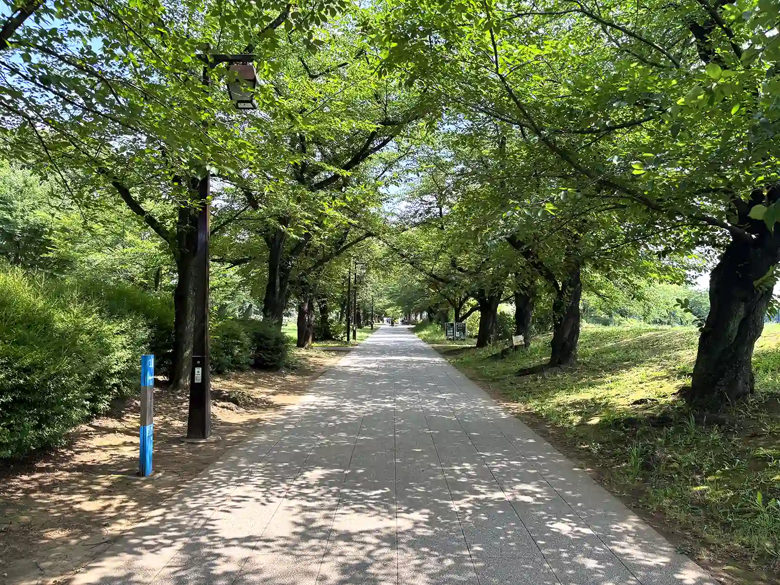 遊歩道