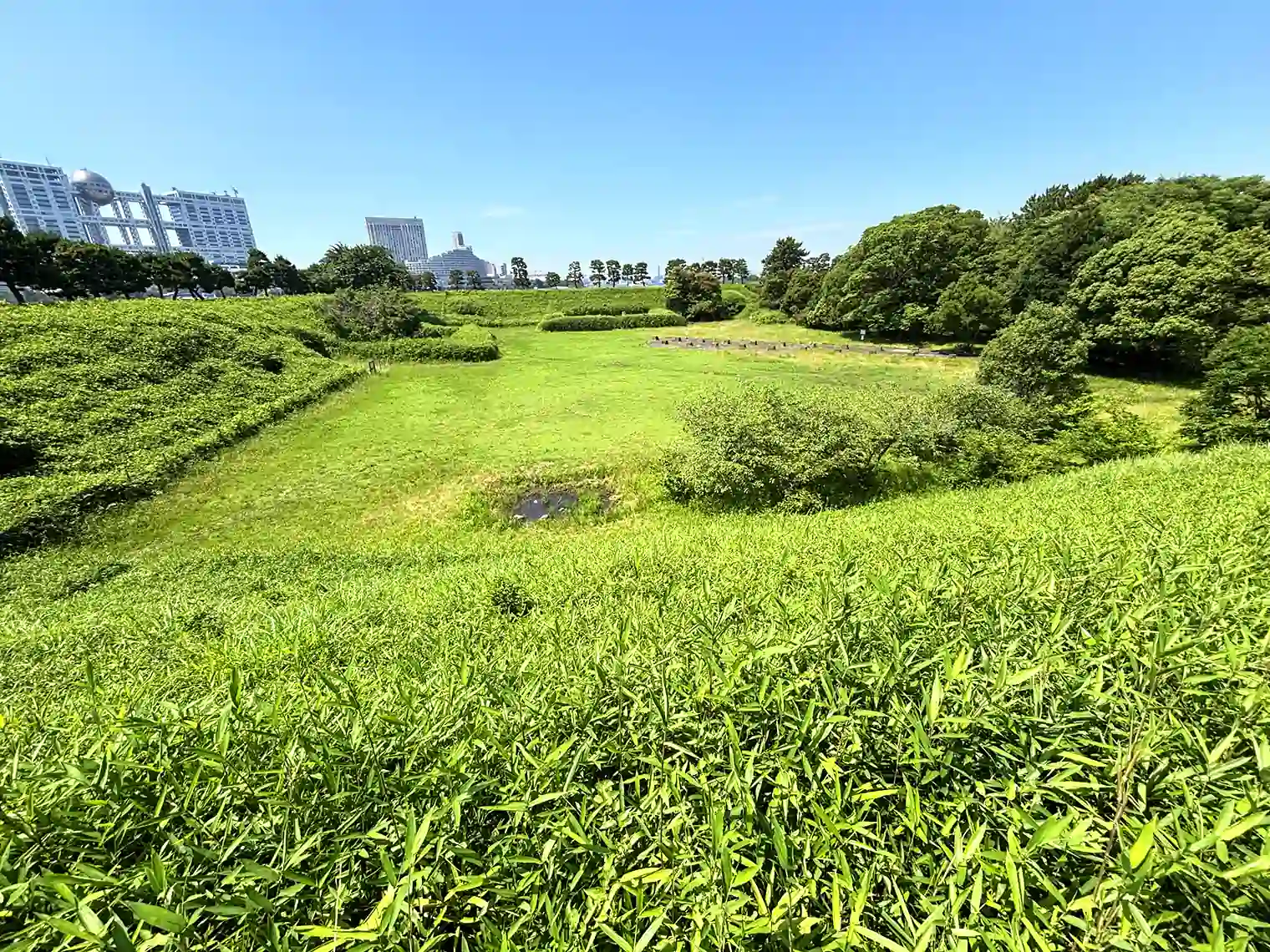 台場公園全体