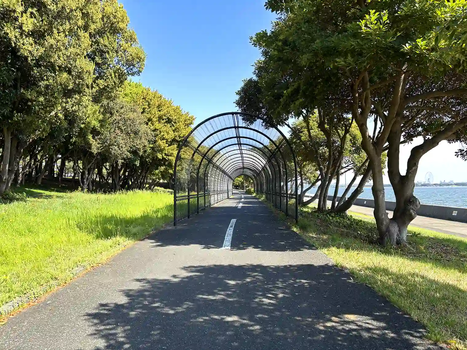 サイクリングコース（若洲海浜公園）