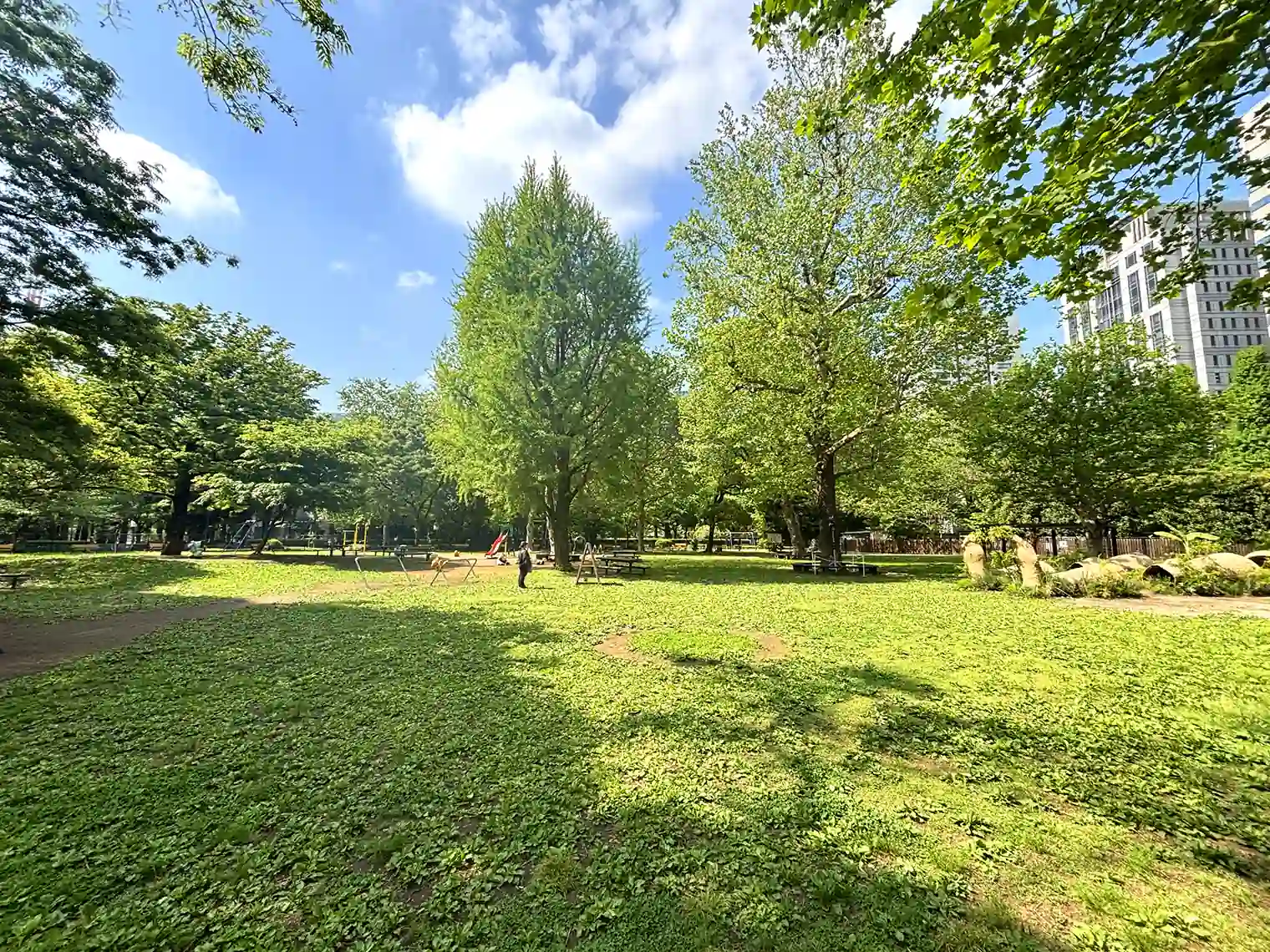 草地広場