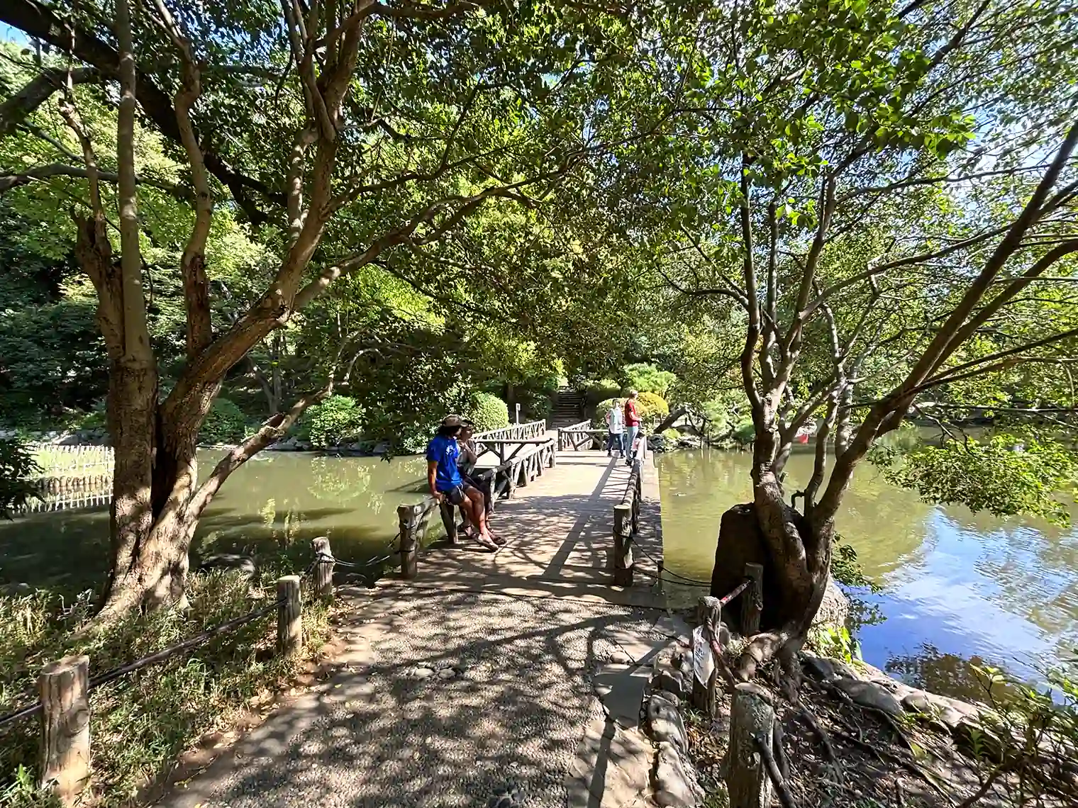 渓流と池の間にかかる橋