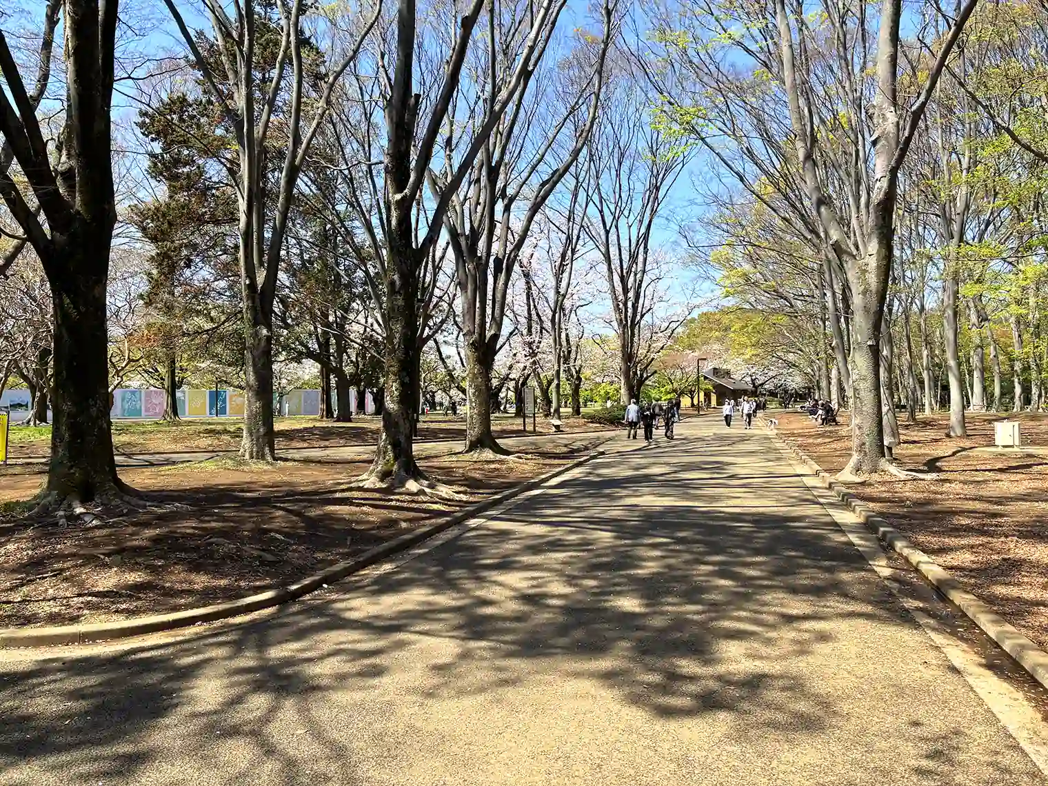 遊歩道
