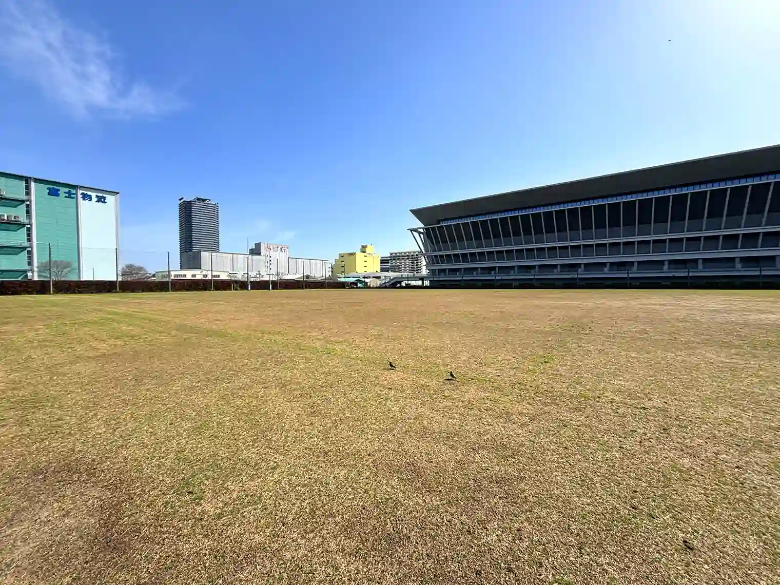 ラグビー練習場