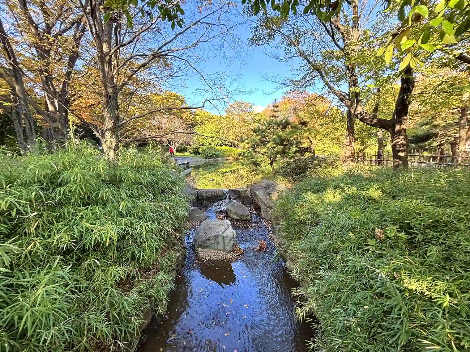 上池のせせらぎ