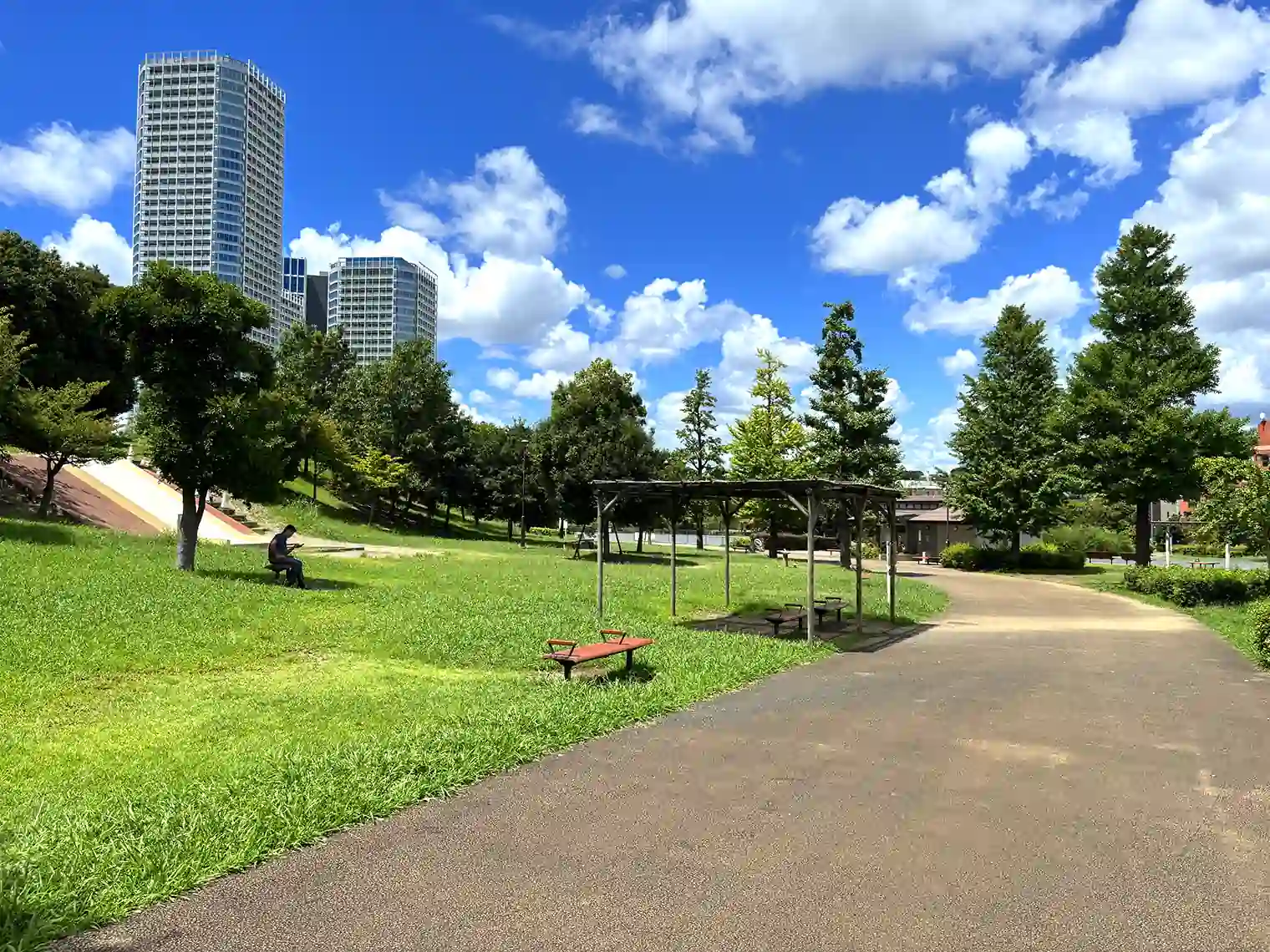 みどりの遊び場