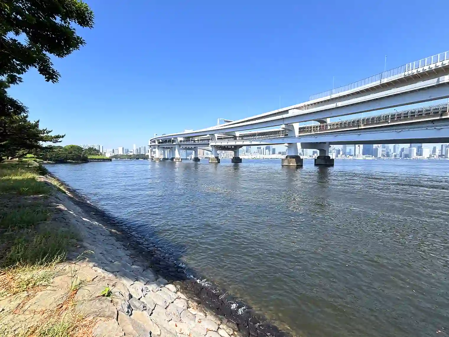 台場公園から眺める首都高速道路