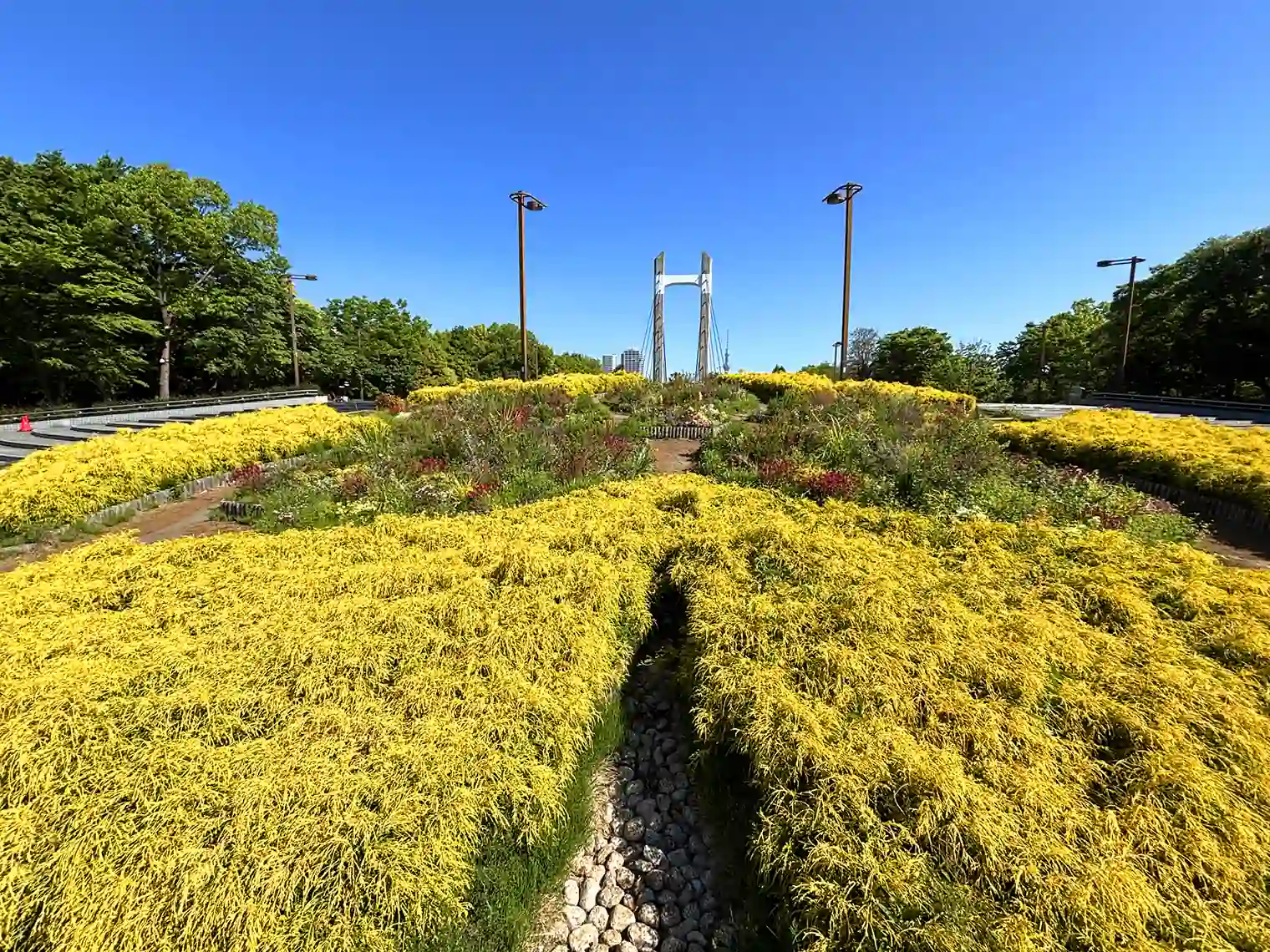 木場公園大橋と花壇