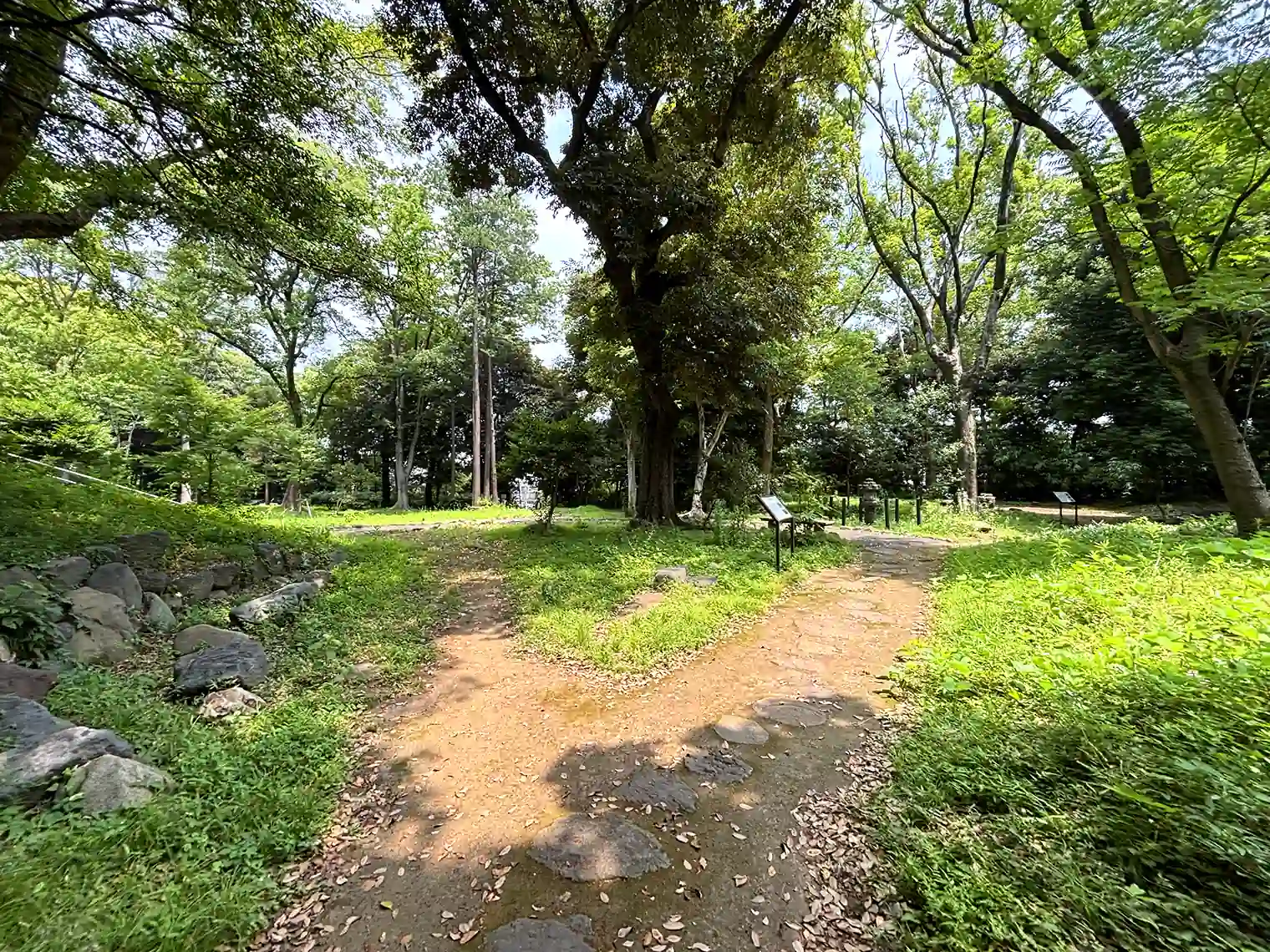 旧渋沢庭園