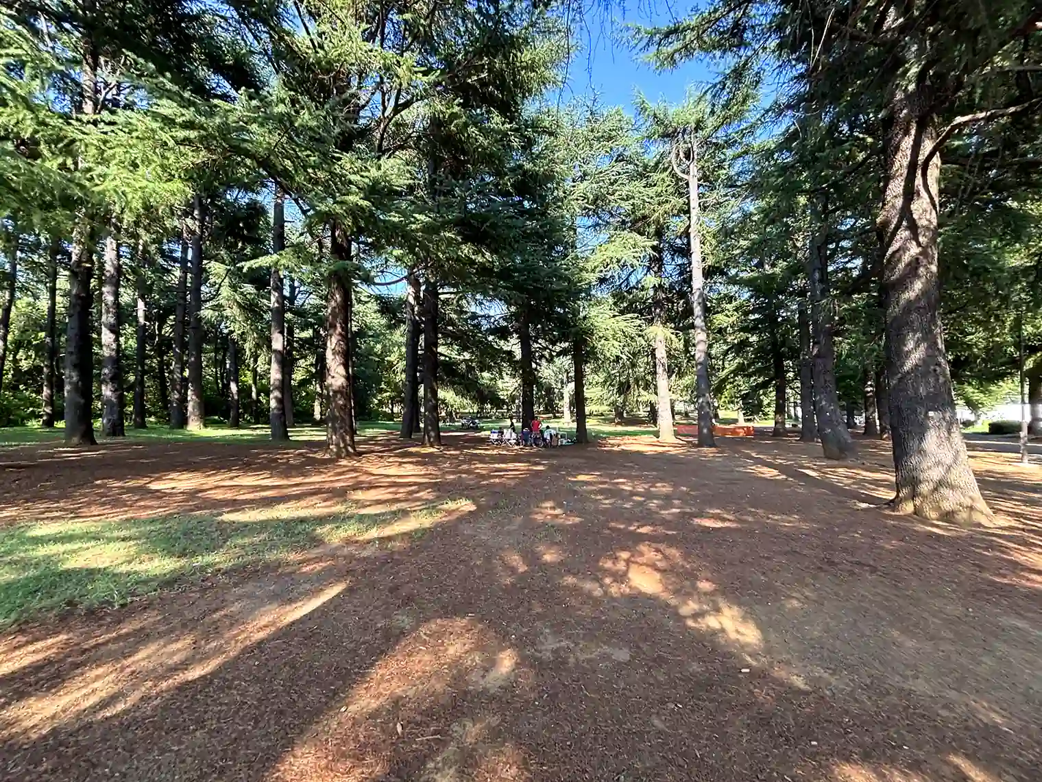 バーベキュー広場