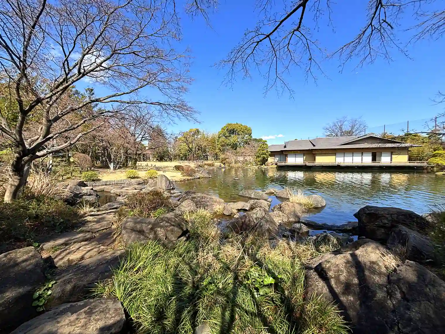 主池（江戸川平成庭園）