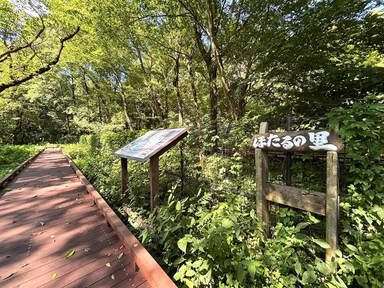 ほたるの里