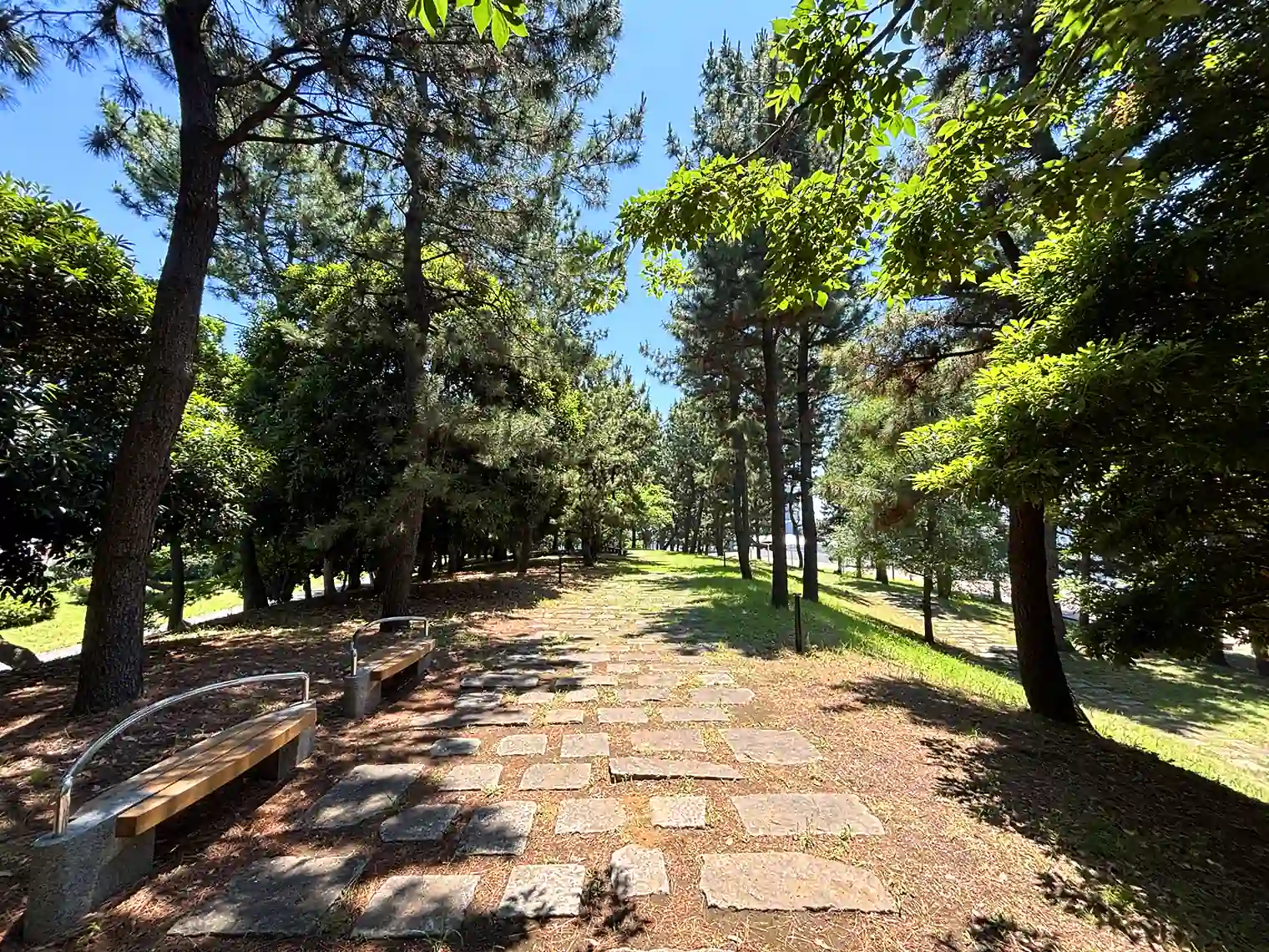 緑の丘へ向かう遊歩道