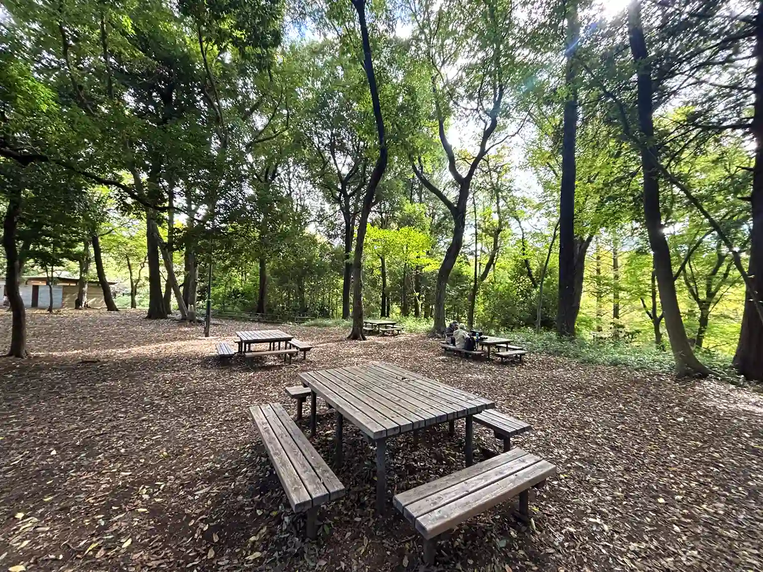 くぬぎ広場
