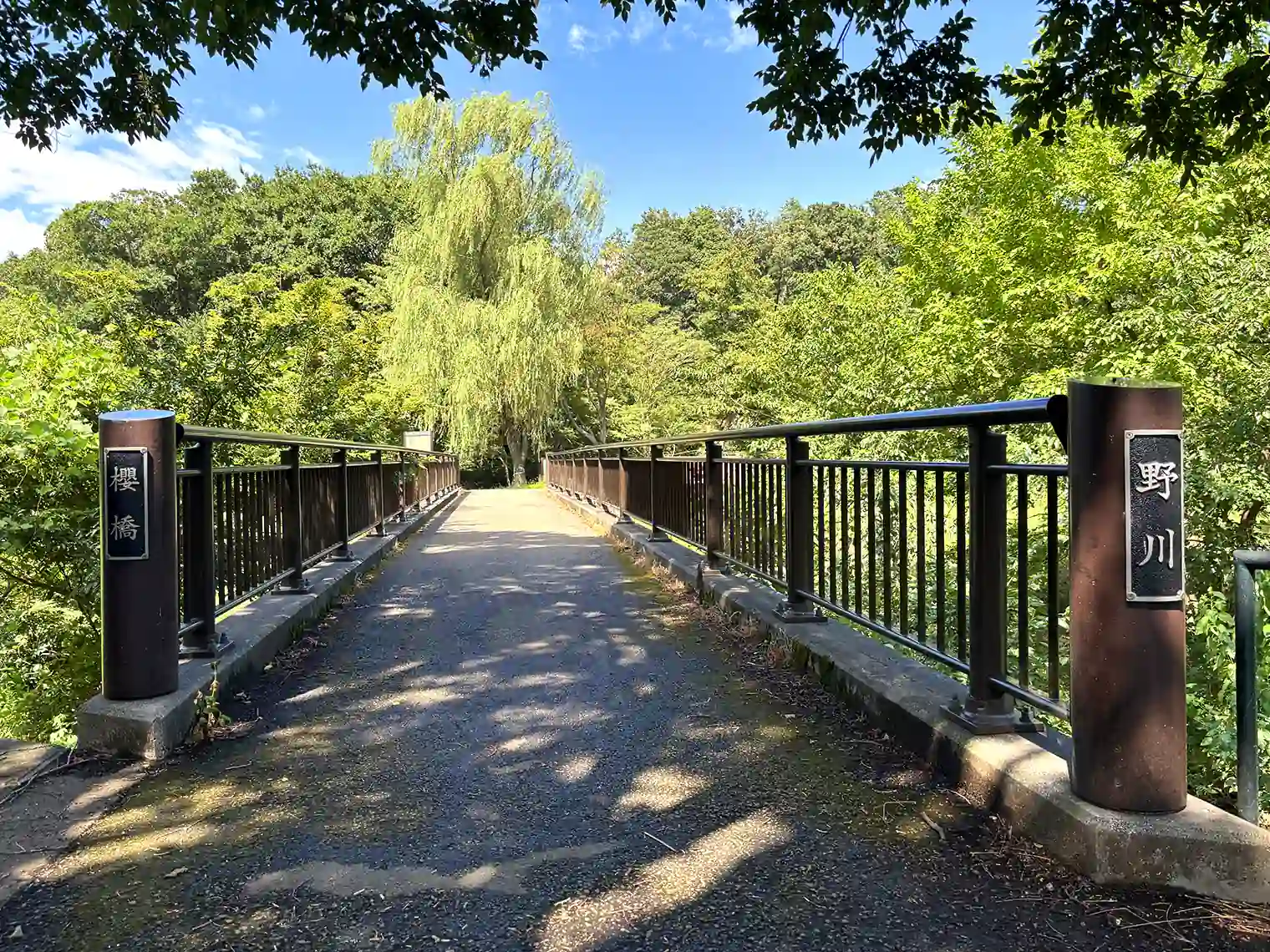 櫻橋
