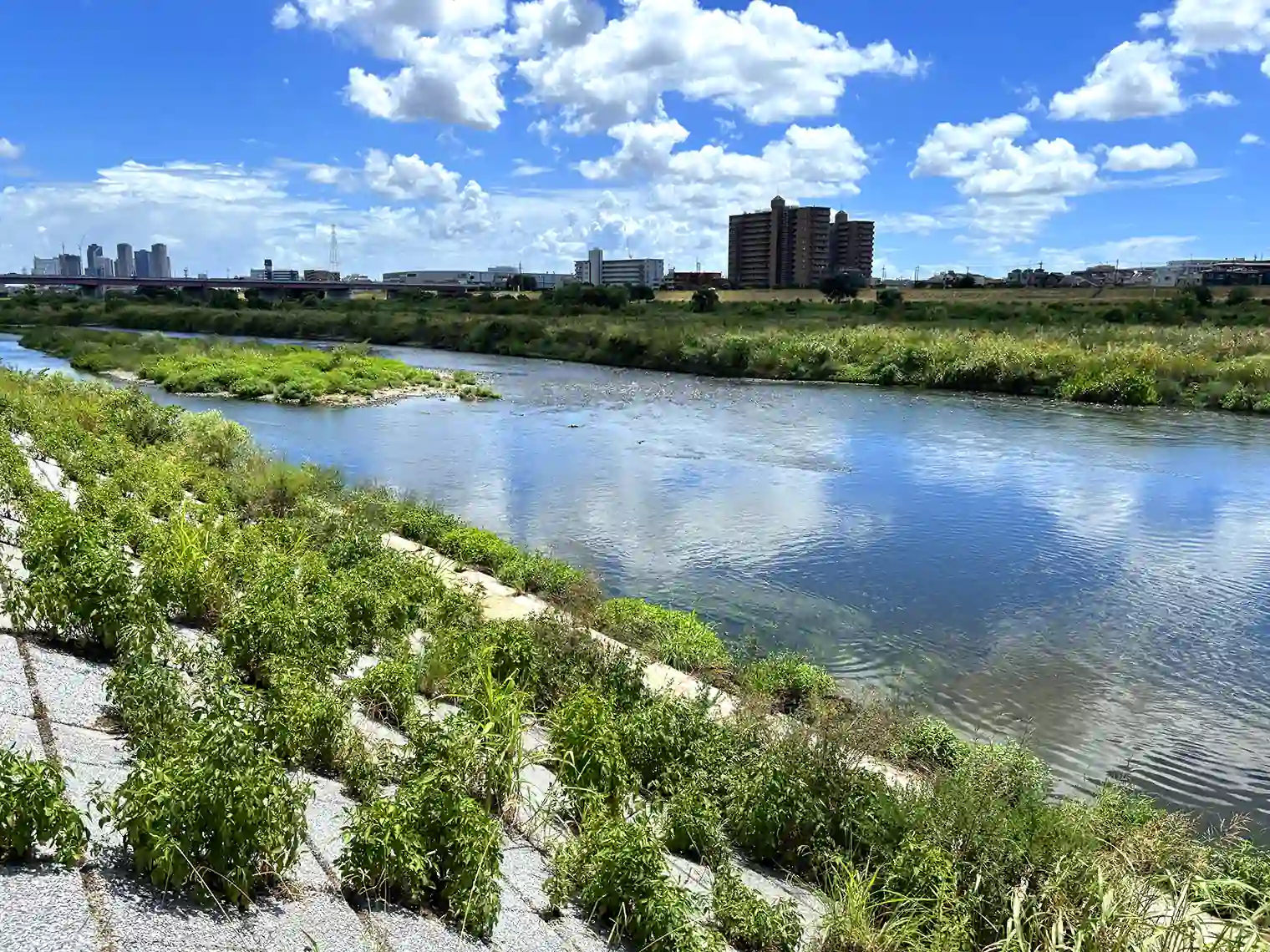 多摩川
