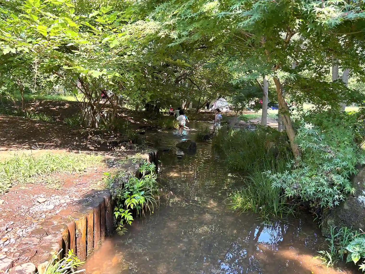 わき水広場