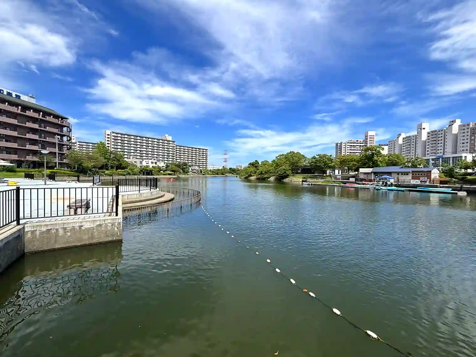 新左近川