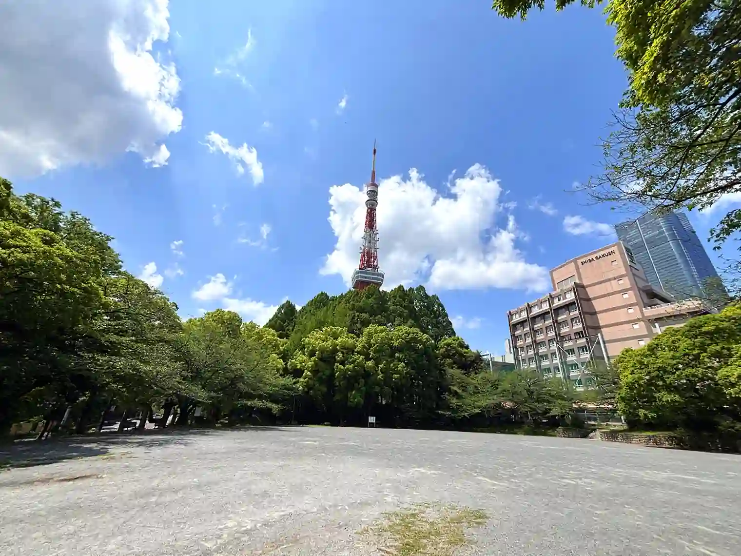 多目的運動広場（4号地）