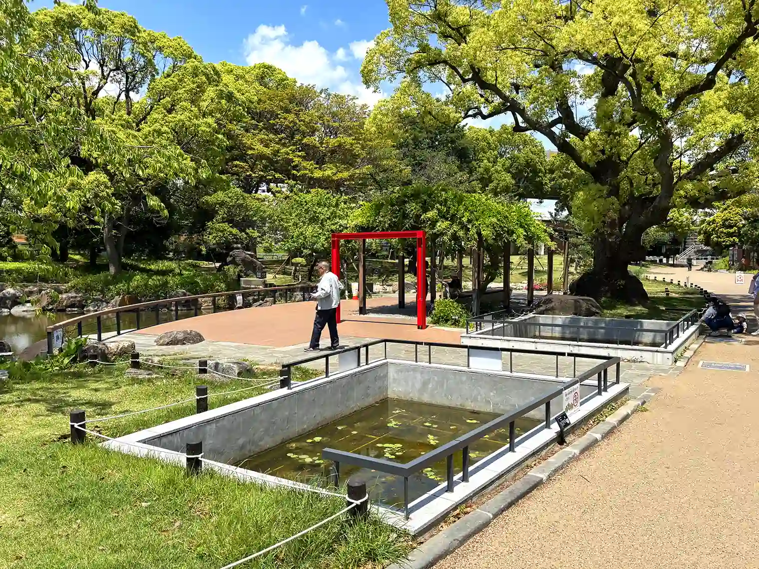 藤棚前の見晴らしエリア